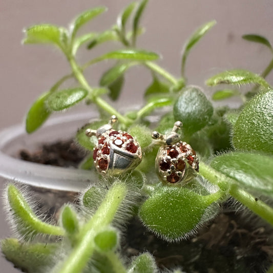 Topos mariquita