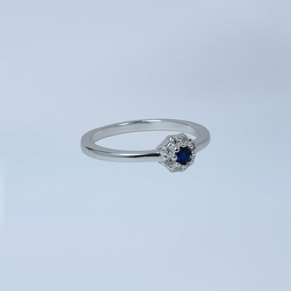 anillo 10